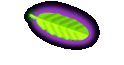 BBC-Fotos