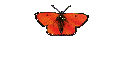 BBC-Fotos