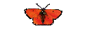 BBC-News