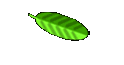 BBC